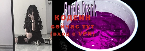 метадон Няндома