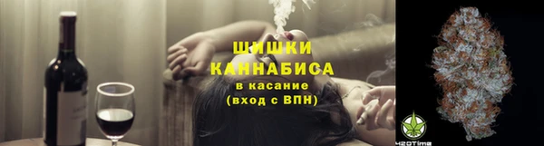 метадон Няндома