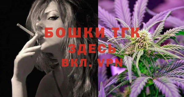 метадон Няндома