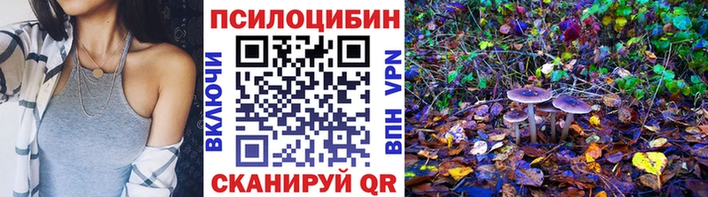 Купить где  Соликамск  Псилоцибиновые грибы Magic Shrooms 